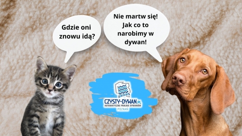 Pupil zrobił niespodziankę?