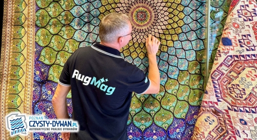 Co naprawdę znajduje się w Twoim dywanie?