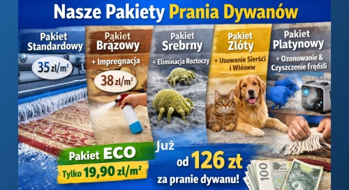 Ile kosztuje pranie dywanu i od czego zależy cena?